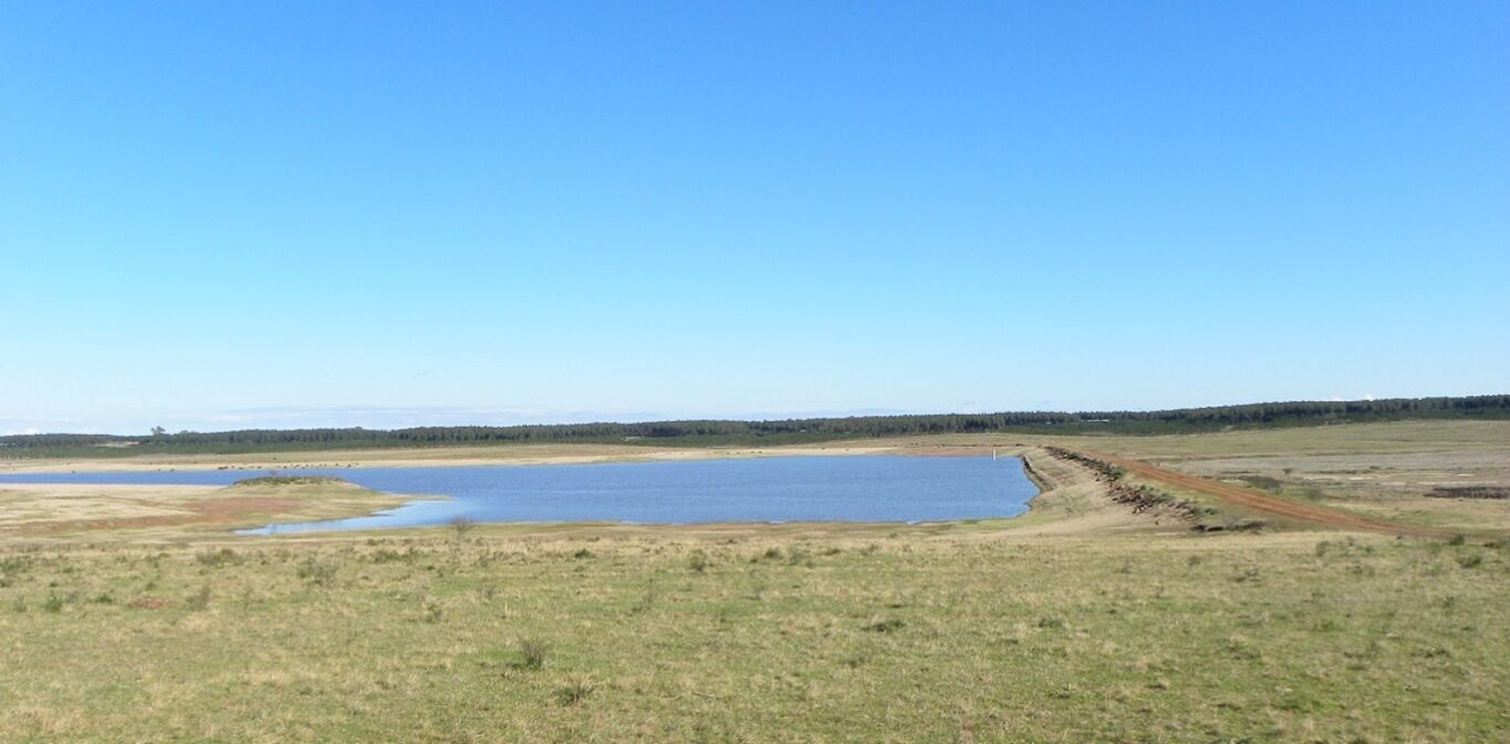 Campo en Tacuarembó — imagen 4