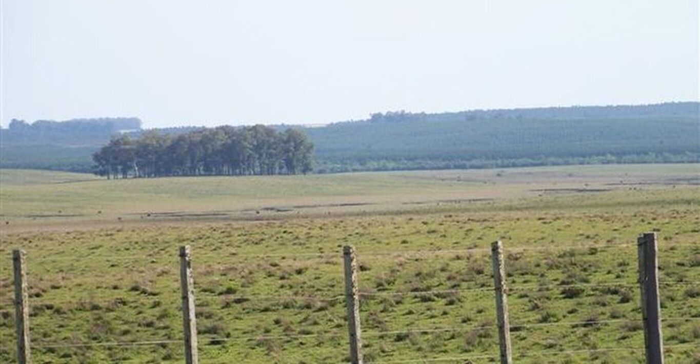 Estancia Zamora — imagen 2