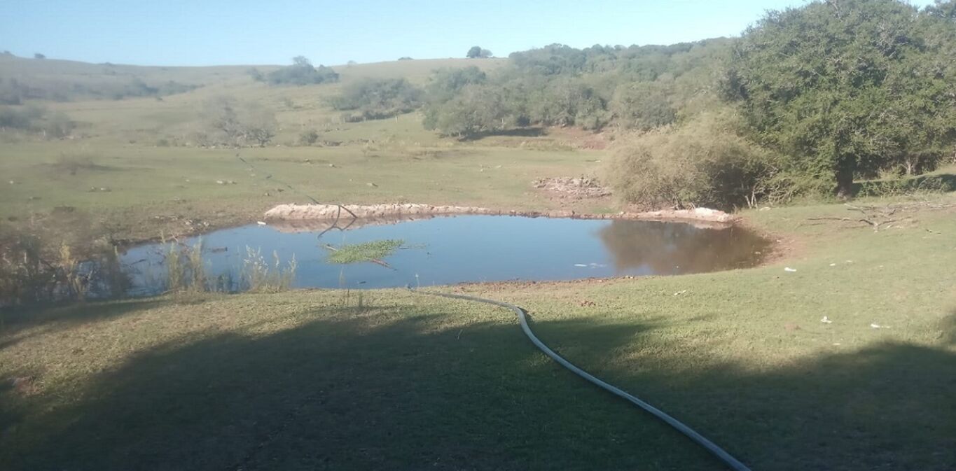 Campo en Tacuarembó
