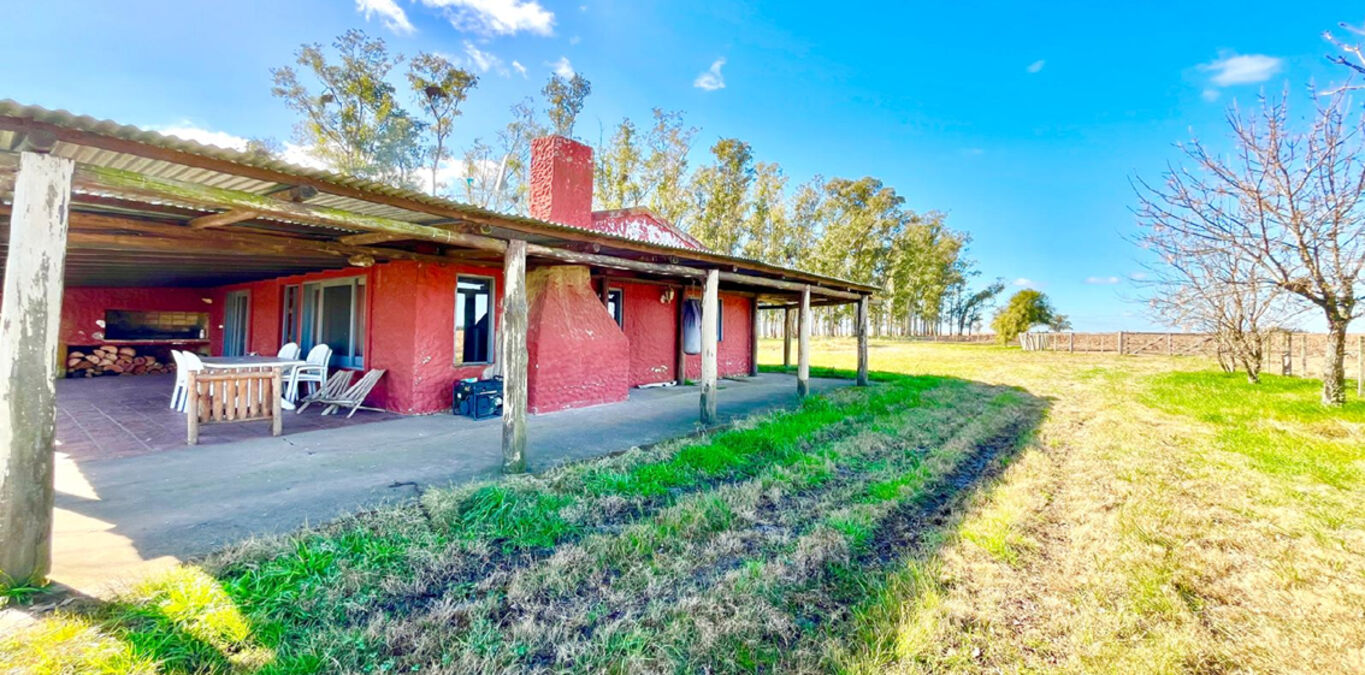 Campo en Maldonado — imagen 3