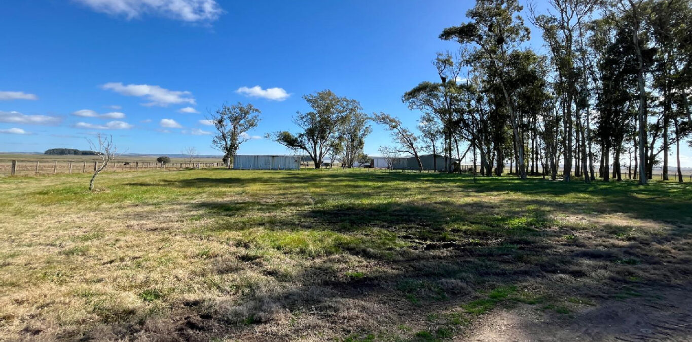 Campo en Maldonado — imagen 2