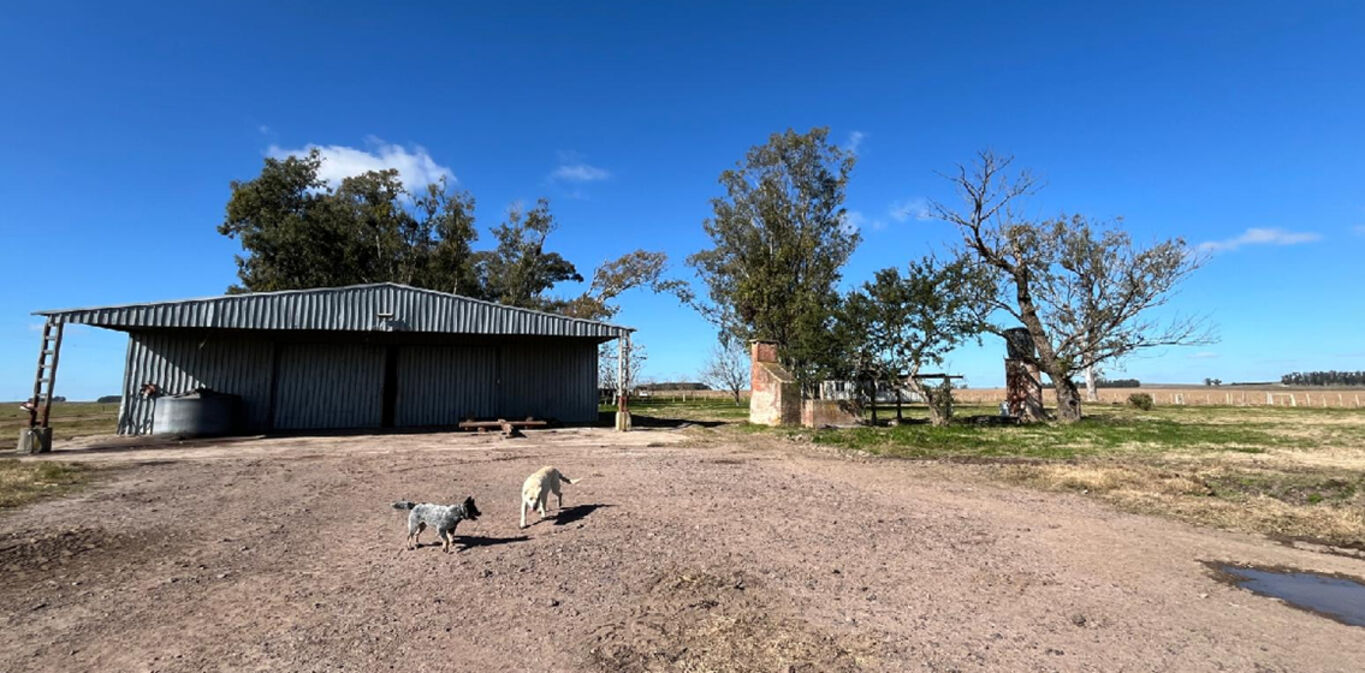 Campo en Maldonado — imagen 7