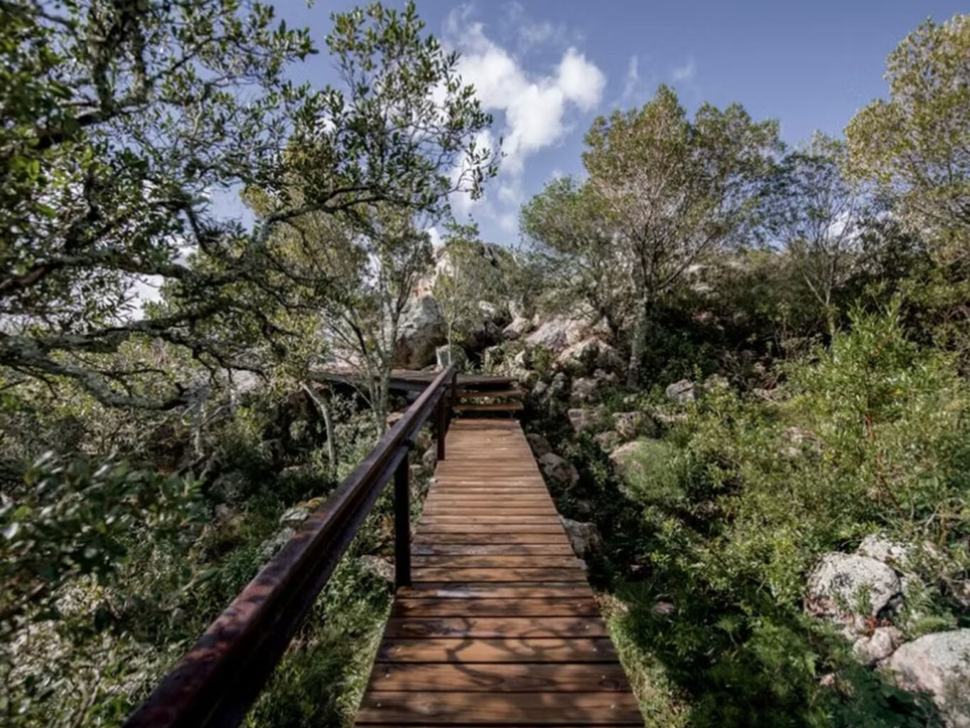 Chacra en las Taperas — imagen 15