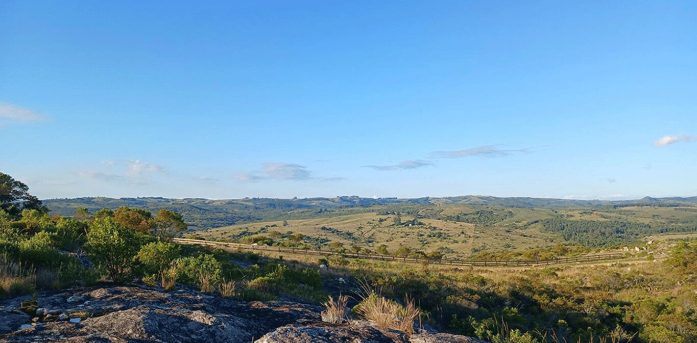 Chacra en las Taperas — imagen 5