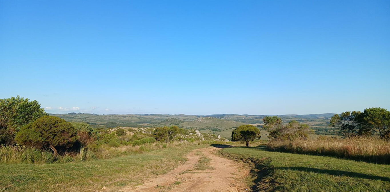Chacra en las Taperas — imagen 8