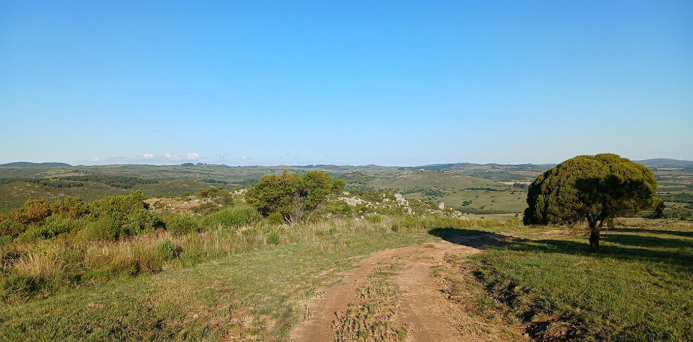 Chacra en las Taperas — imagen 9