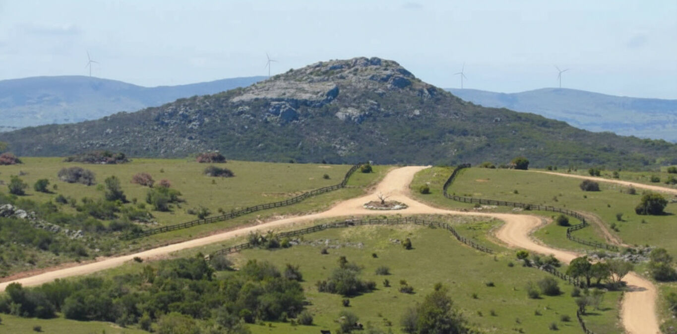 Chacra en las Taperas — imagen 21