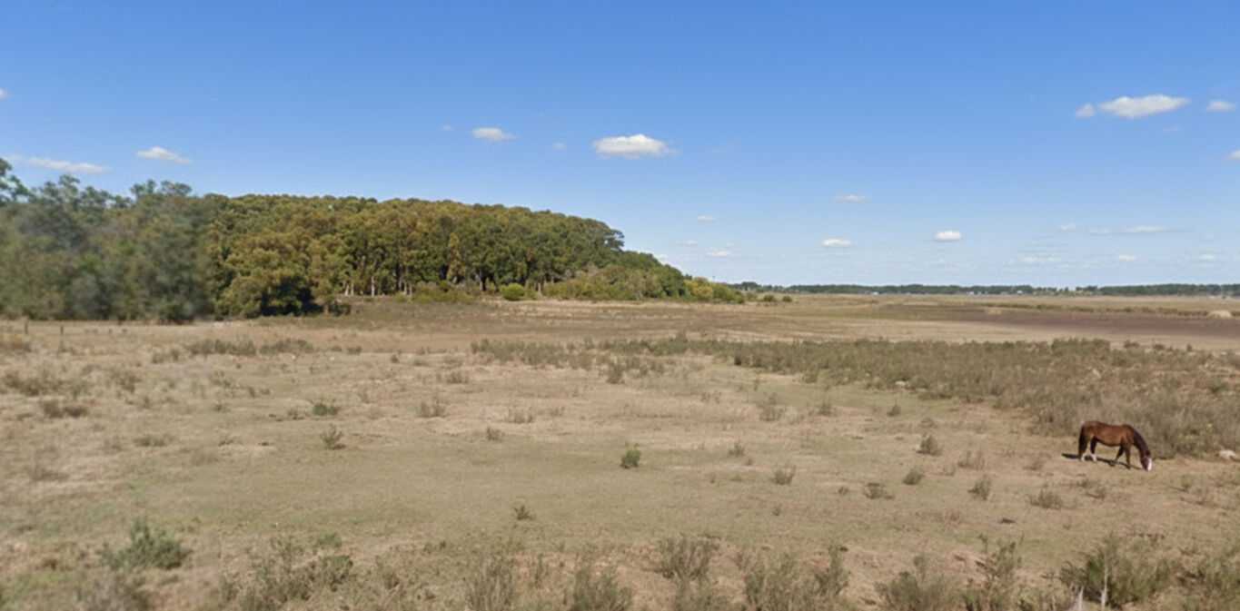 Chacra en Punta del Este — imagen 3