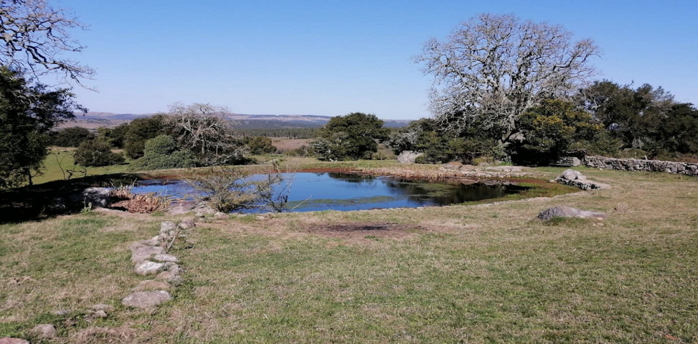 Campo en Maldonado — imagen 3