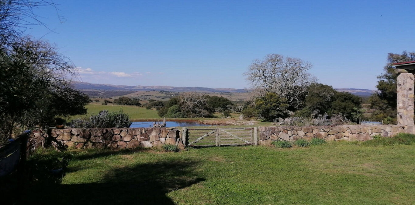Campo en Maldonado — imagen 4