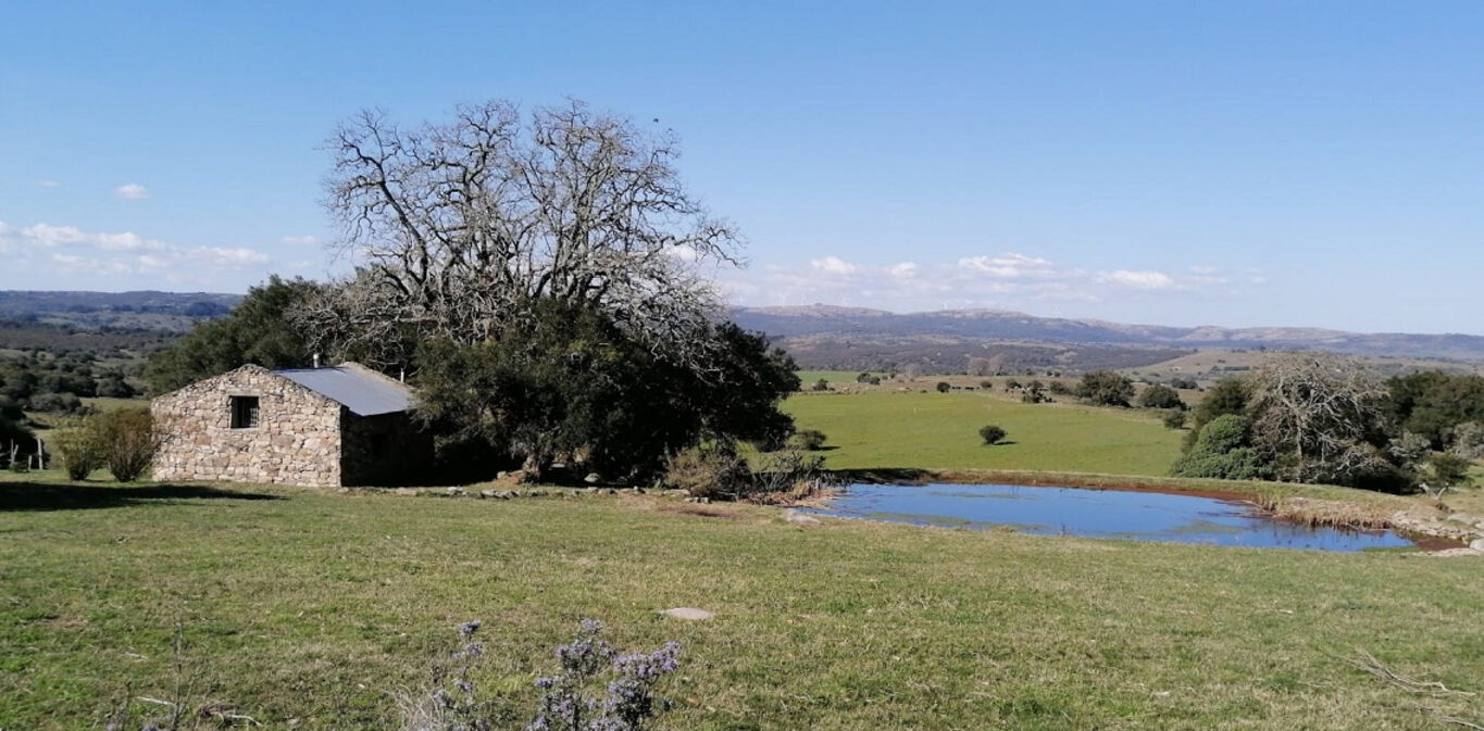 Campo en Maldonado — imagen 5