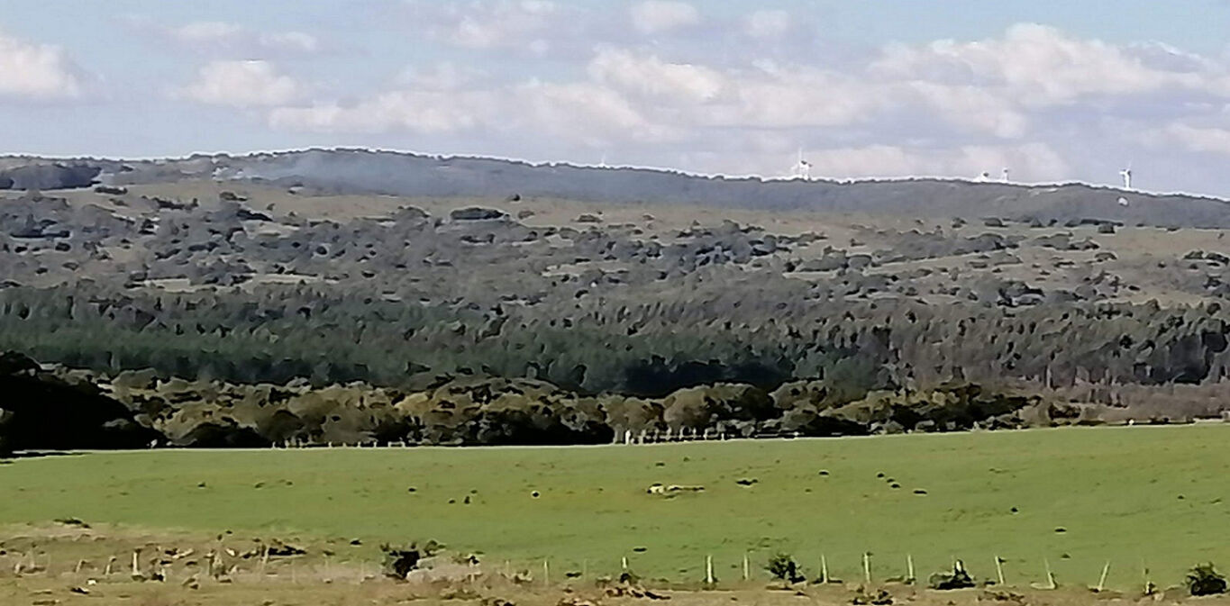 Campo en Maldonado — imagen 6