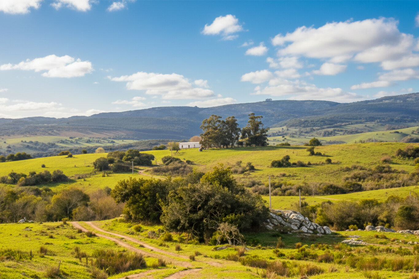 Campo en Maldonado