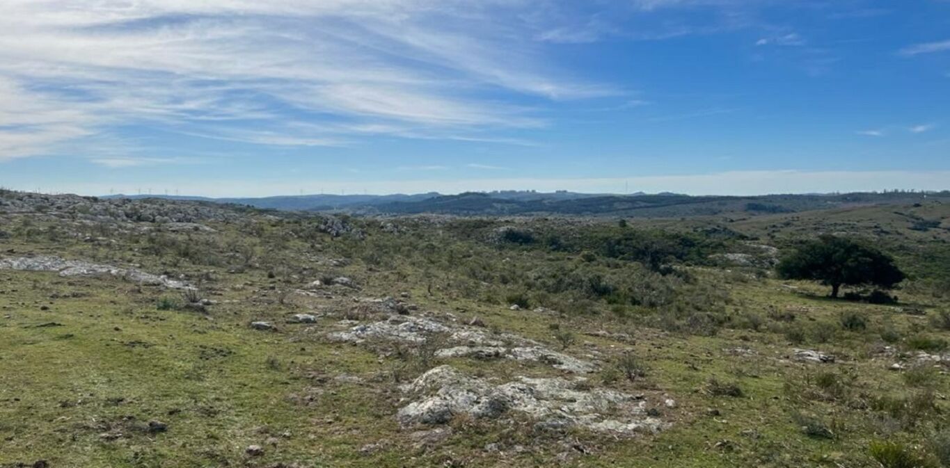 Campo en Maldonado y Lavalleja — imagen 2