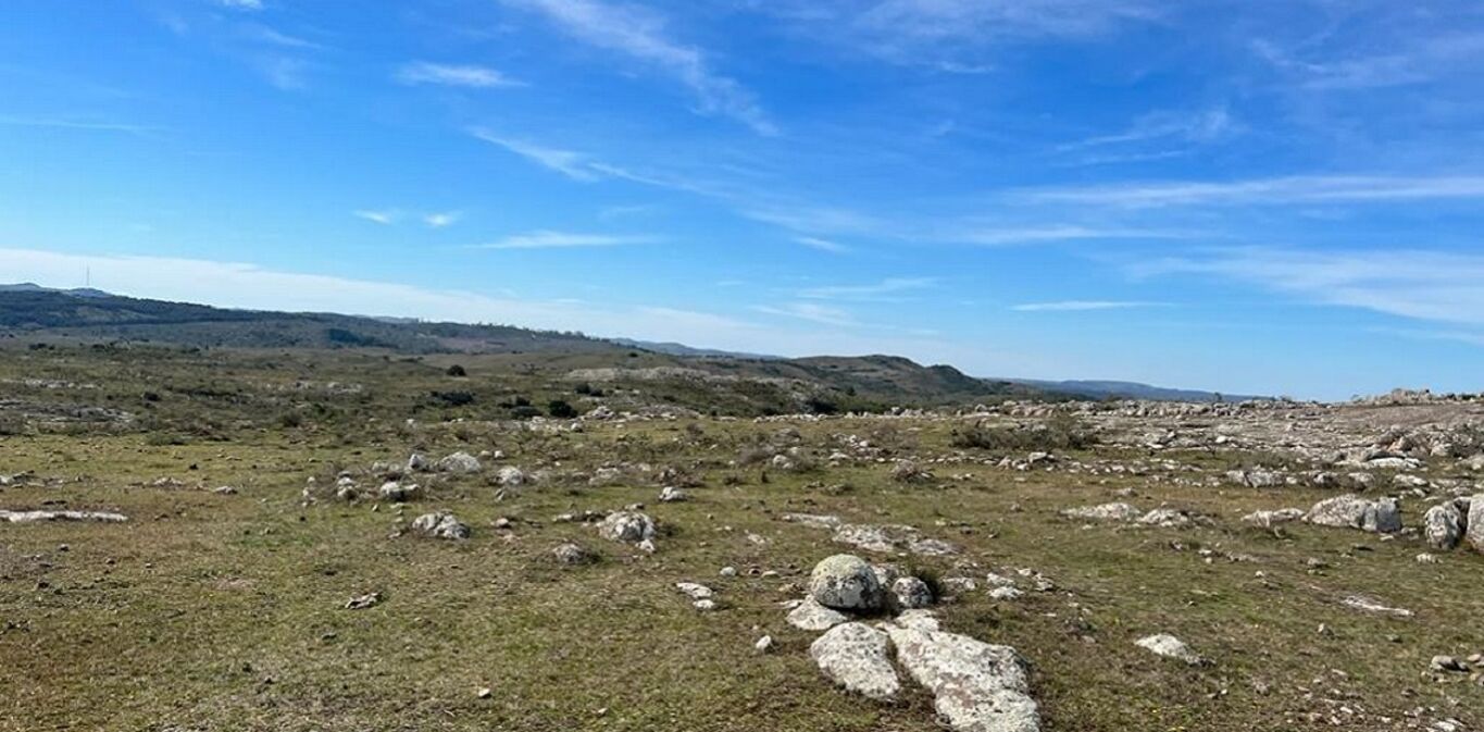 Campo en Maldonado y Lavalleja — imagen 3
