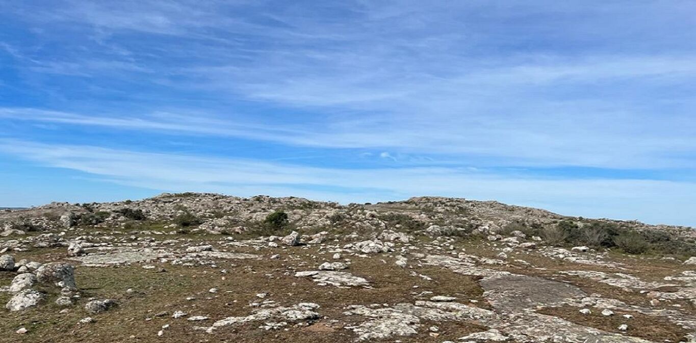 Campo en Maldonado y Lavalleja — imagen 4