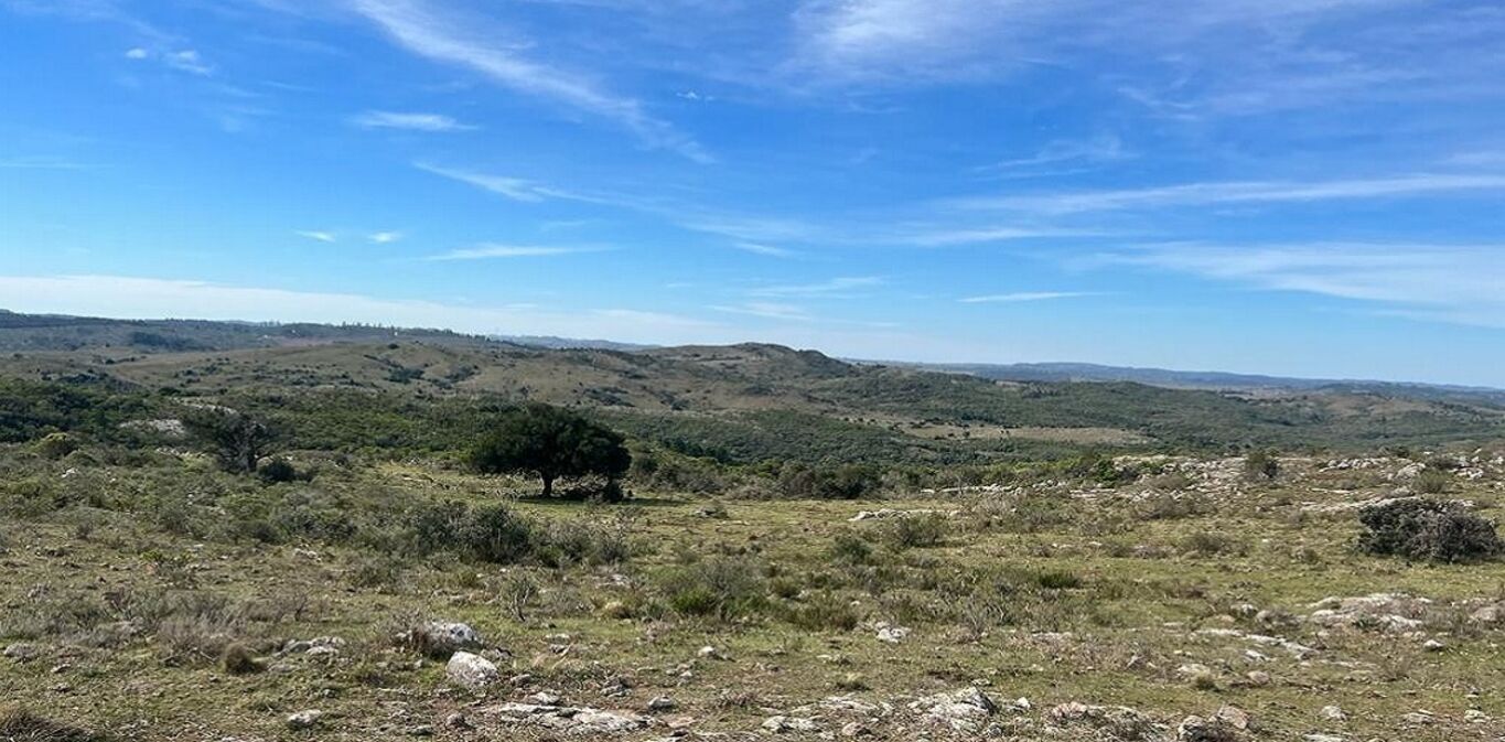 Campo en Maldonado y Lavalleja — imagen 6
