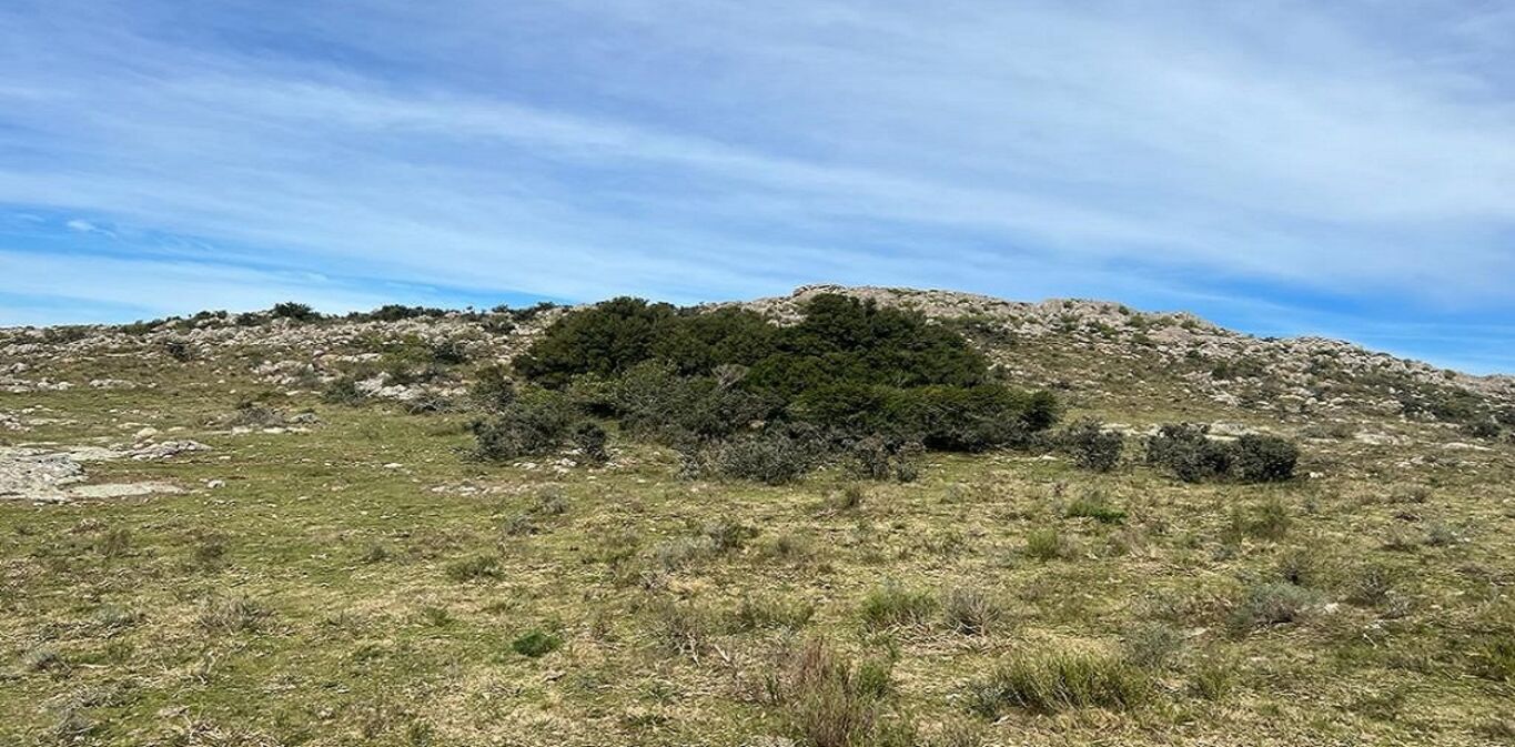 Campo en Maldonado y Lavalleja — imagen 7
