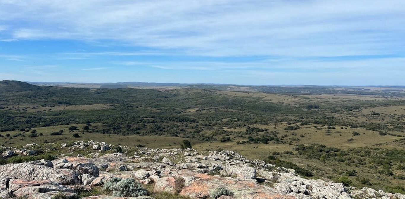 Campo en Maldonado y Lavalleja