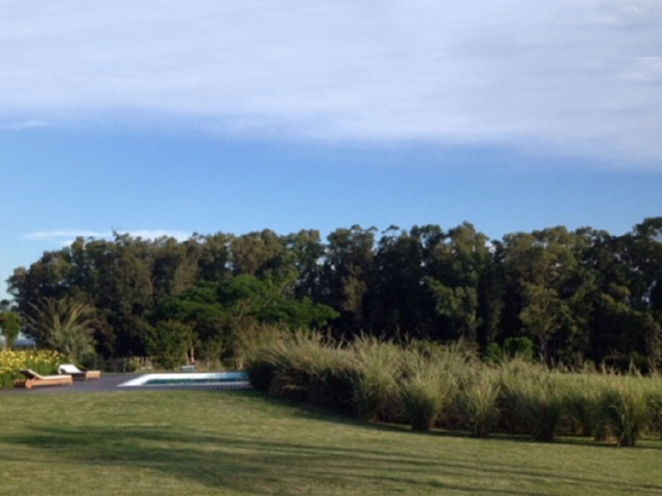 Campo en Maldonado — imagen 4