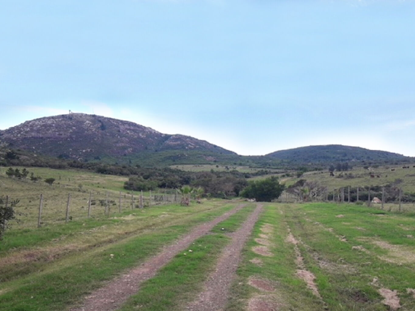 Campo en Maldonado — imagen 7