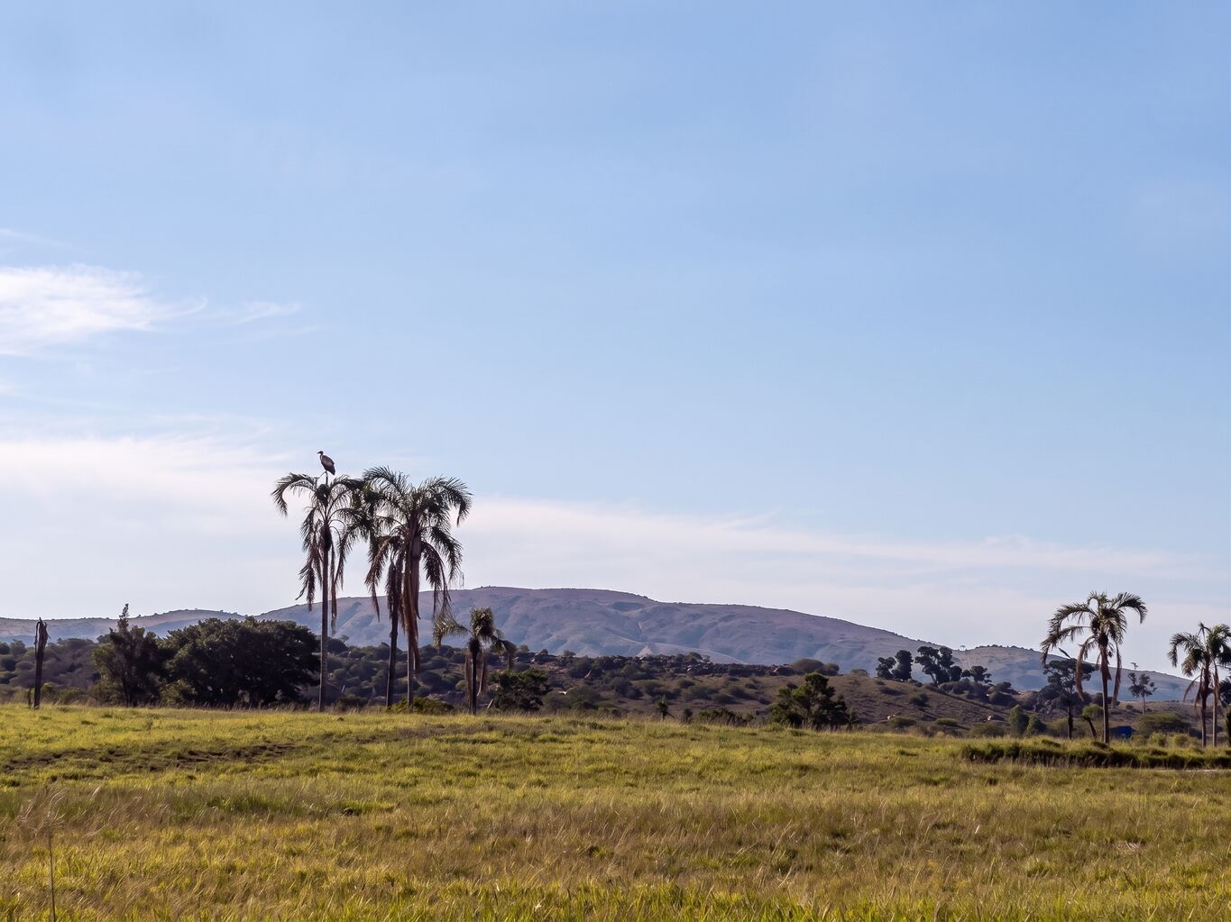 Campo en Maldonado