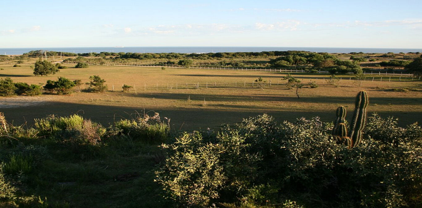 Chacra en Jose Ignacio