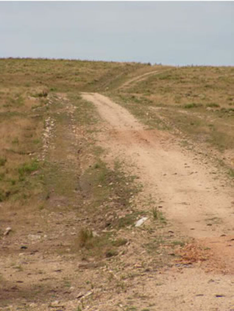 Forestacion "Cerro de los Caracoles" — imagen 2