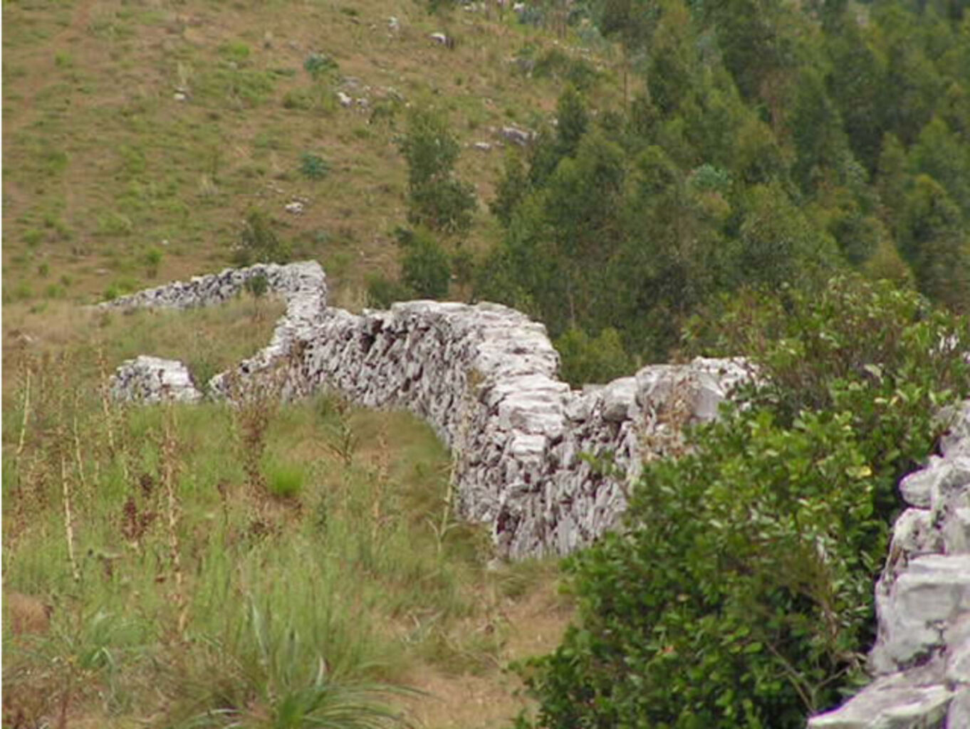 Forestacion "Cerro de los Caracoles" — imagen 3