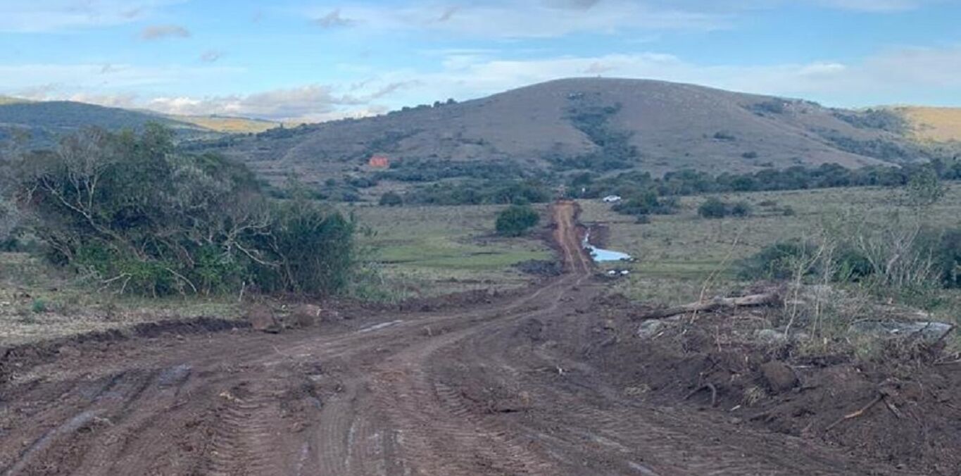 Potrero "Altos de la Coronilla" — imagen 3