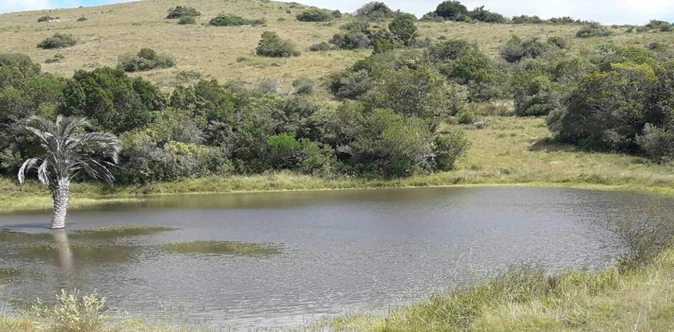 Potrero "Altos de la Coronilla"