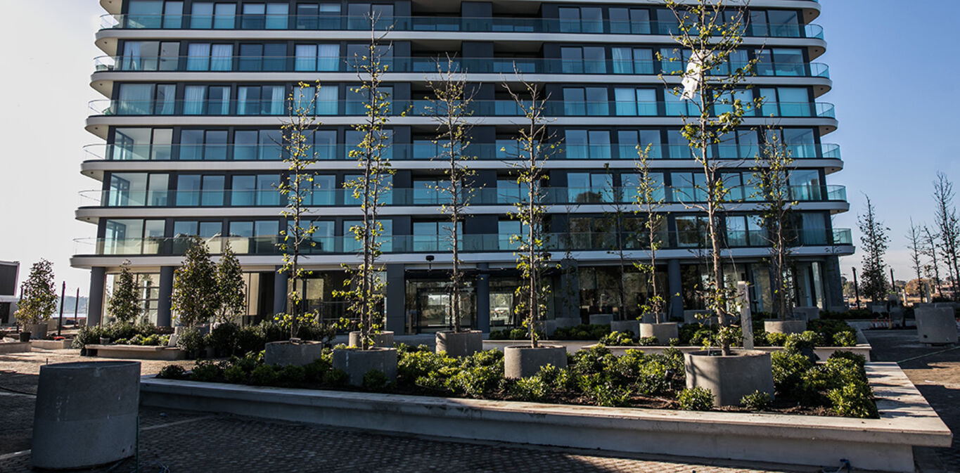 Apartamento en Alquiler en Carrasco Este — imagen 14