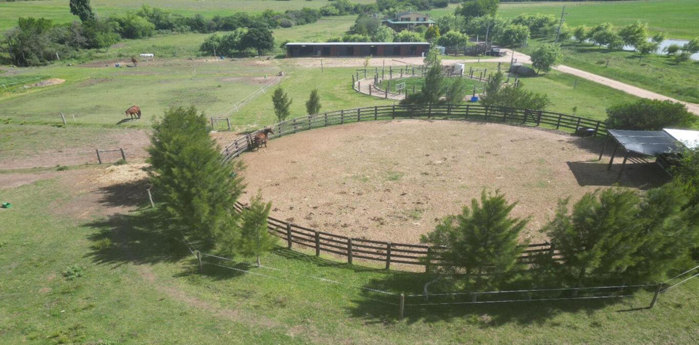 Haras en Canelones — imagen 3