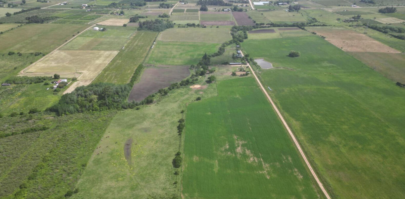 Haras en Canelones — imagen 4