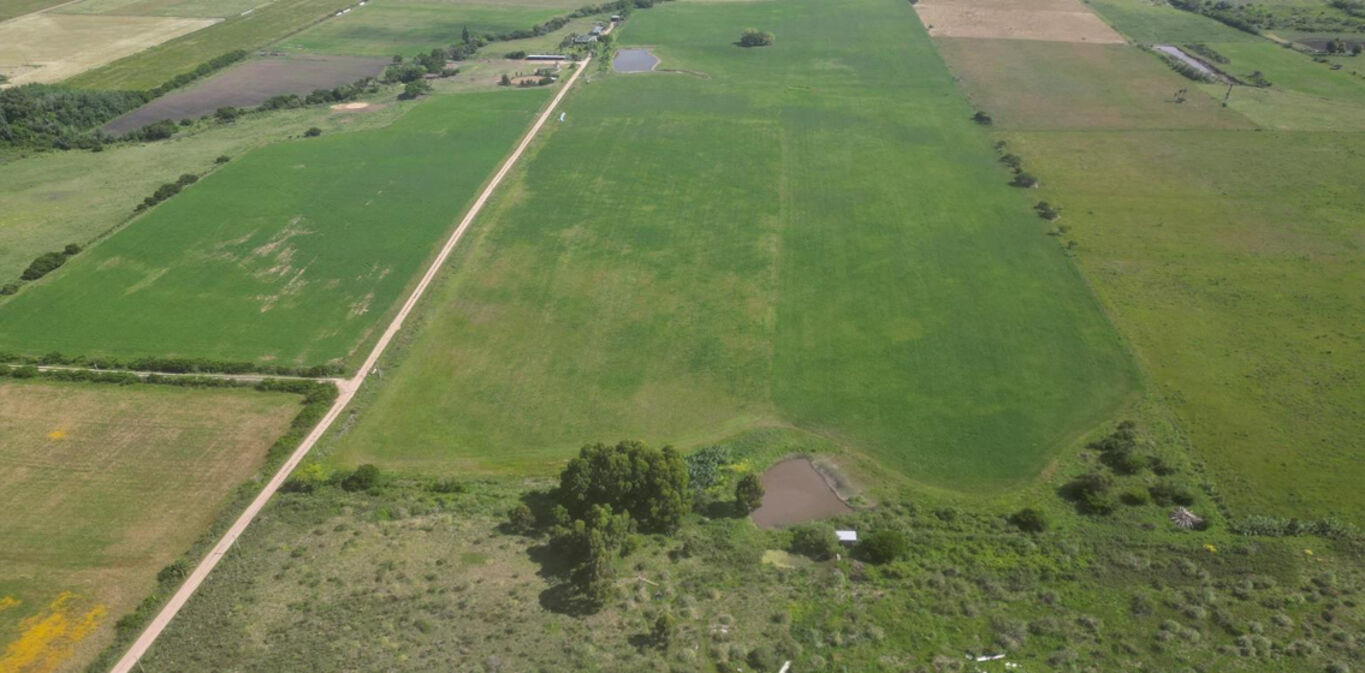Haras en Canelones — imagen 5