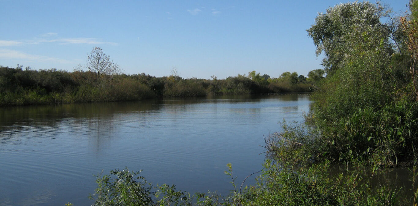 Campo en Canelones