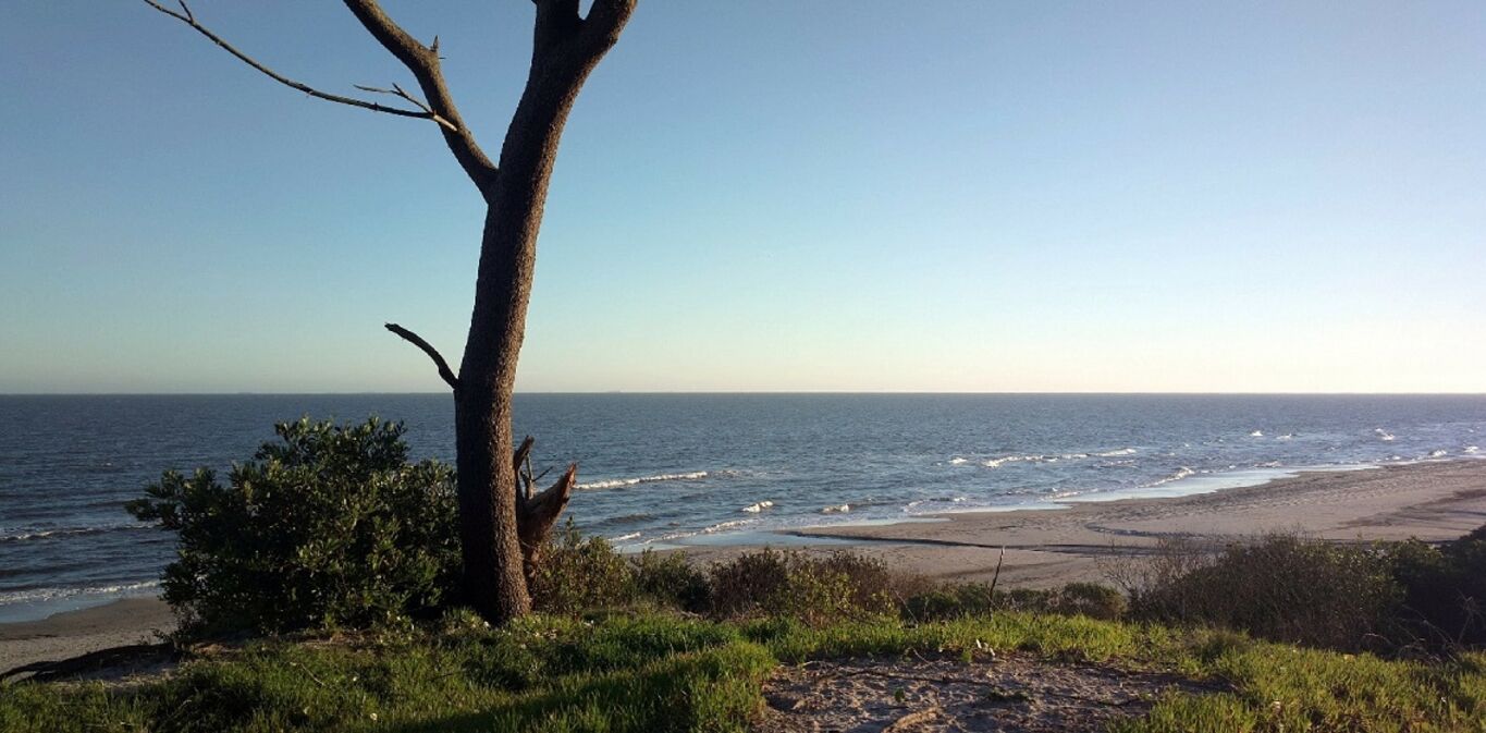 Terreno en Guazuvirá - Canelones — imagen 2