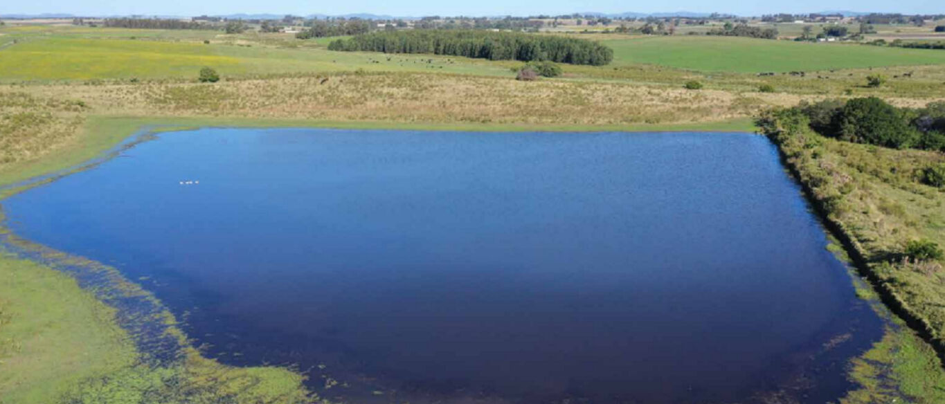 Campo en Canelones — imagen 2