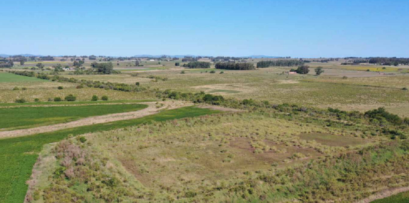 Campo en Canelones