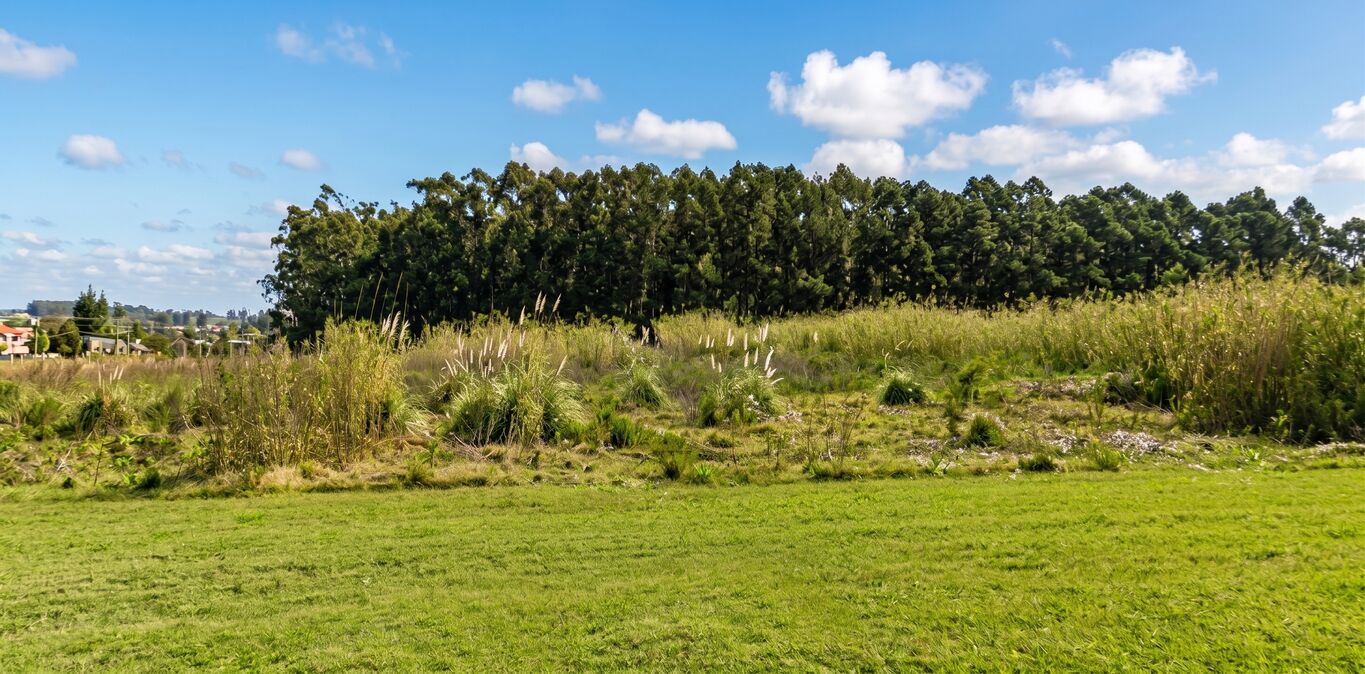 Terreno Próximo a Ruta 101