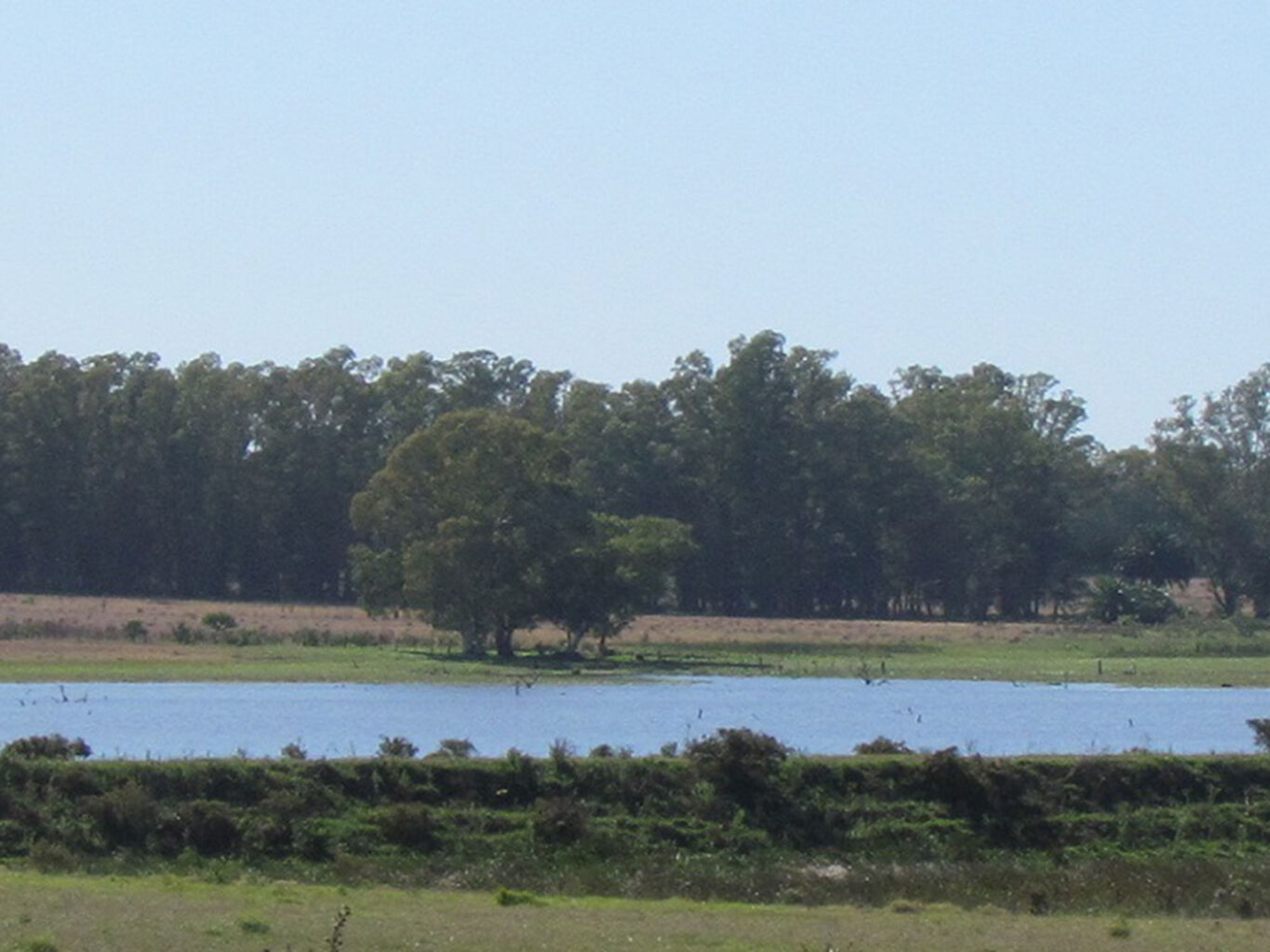 Campo en Canelones — imagen 2