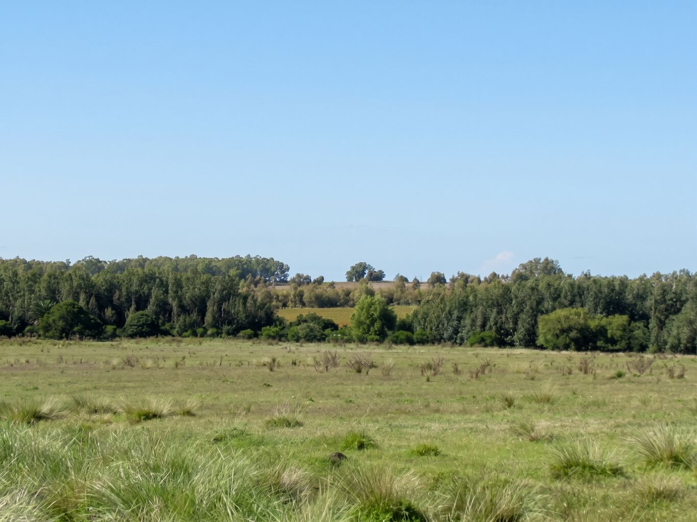 Campo en Canelones