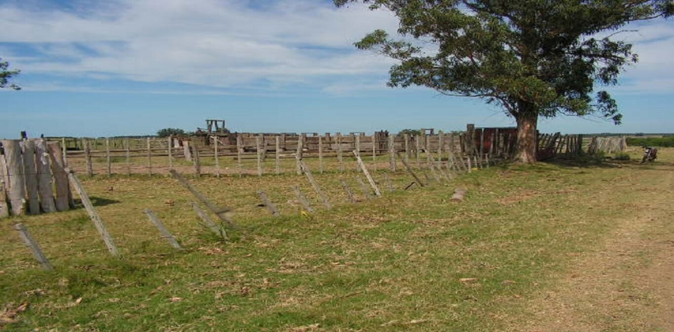 Estancia "Altos de Solis" — imagen 3