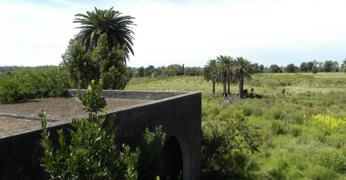 Campo en Joaquín Suárez - Canelones — imagen 2