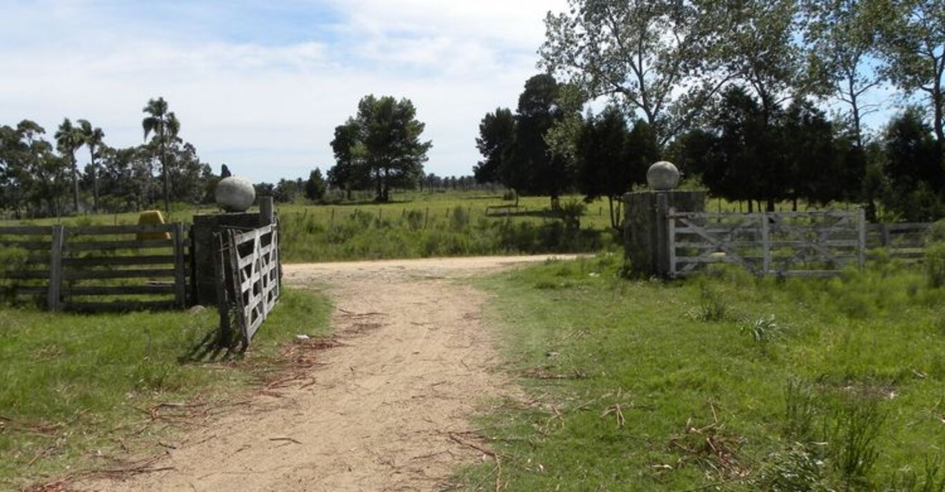 Campo en Joaquín Suárez - Canelones — imagen 7