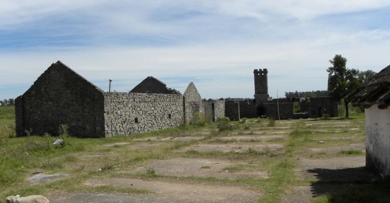 Campo en Joaquín Suárez - Canelones — imagen 8