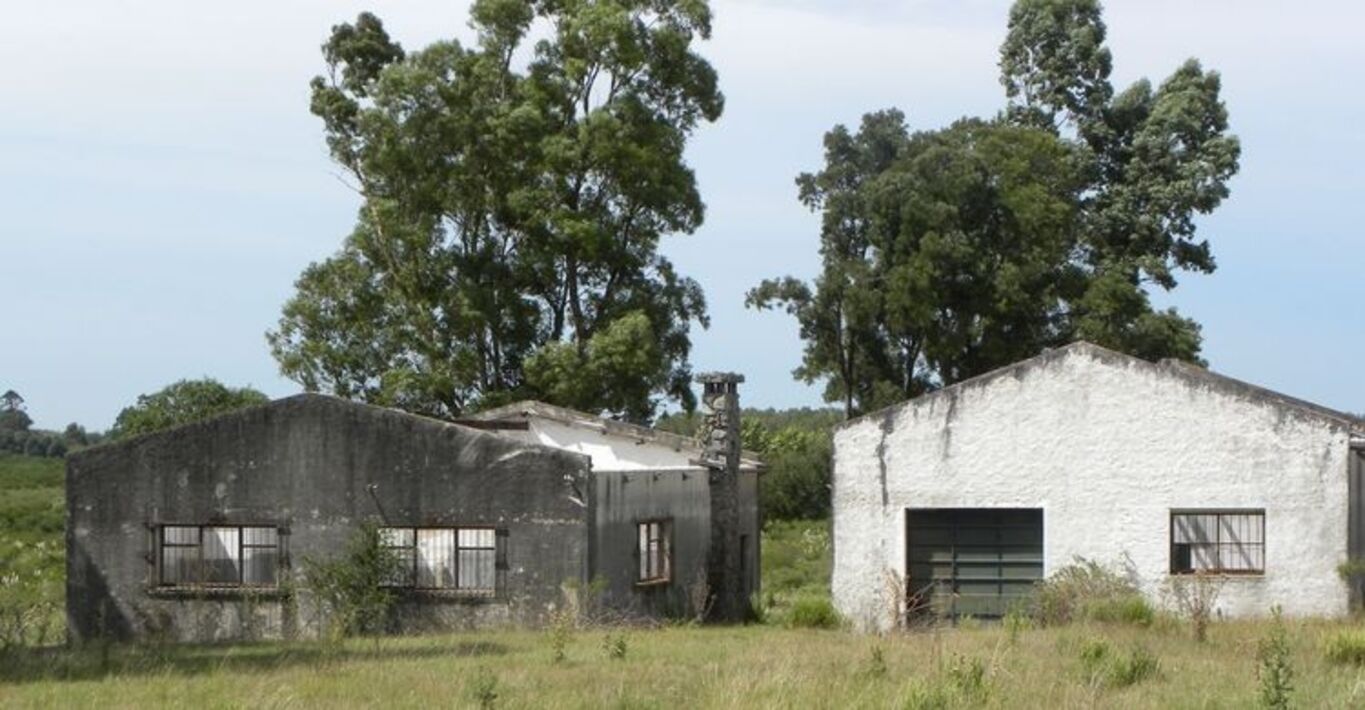 Campo en Joaquín Suárez - Canelones — imagen 10