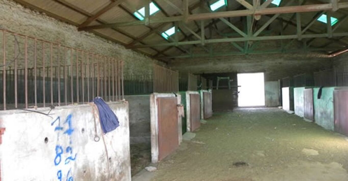 Campo en Joaquín Suárez - Canelones — imagen 13