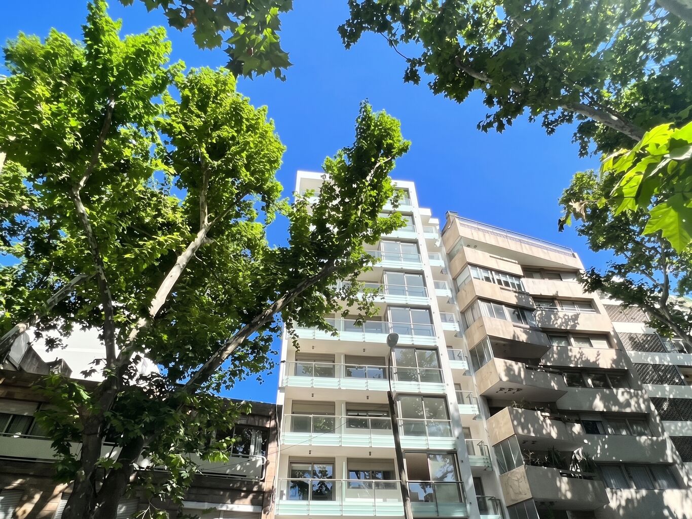 Apartamento en Venta en Pocitos