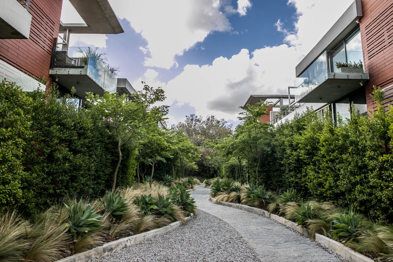 Apartamento en Edificio Araucaria — imagen 17